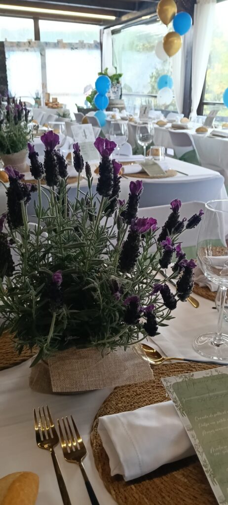 catering